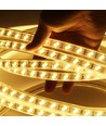 Outlet: 5 m. vattentät LED strip (Type Y) - 230V, IP67, 120 LED, 10W/m