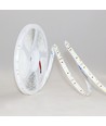 LEDlife 12W/m LED strip RA97 - 5m, 24V, IP20, 120 LED per. meter