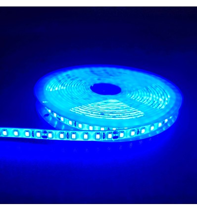 Blå 10W/m LED-strip - 5m, 120 LED pr. meter, 24V, IP65