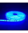 Blå 10W/m LED-strip - 5m, 120 LED pr. meter, 24V, IP65