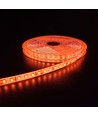 Orange 10W/m LED-strip - 5m, 120 LED pr. meter, 24V, IP65