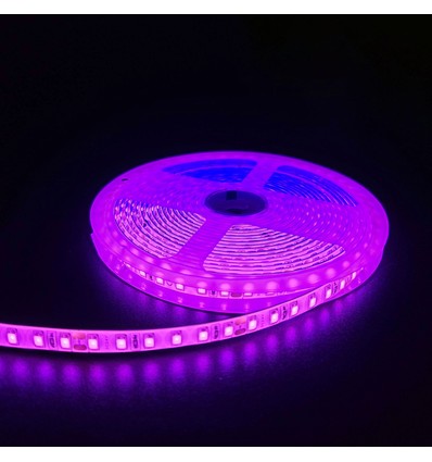 Pink 10W/m LED-strip - 5m, 120 LED pr. meter, 24V, IP65