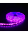 Pink 10W/m LED-strip - 5m, 120 LED pr. meter, 24V, IP65