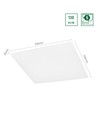 Algine Panel 40W - bakbelyst, med Philips driver, kallvitt, 230V, 120°, IP20, 595x595x26, vit, REC