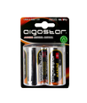 Alkaliskt Batteri LR20D 1,5V 2-pack