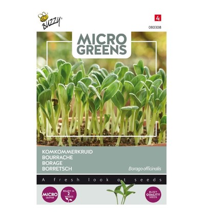 Outlet: Mikrogreens, borage