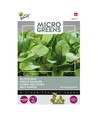 Outlet: Mikrogreens, sorrel rödbröd, 0,5g