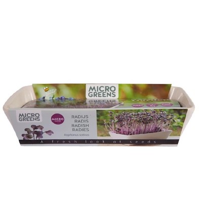 Outlet: Microgreens starterkit - Röd Daikon Röd.