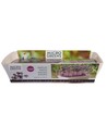 Outlet: Microgreens starterkit - Röd Daikon Röd.