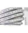 Outlet: 5 m. vattentät LED strip (Type Y) - 230V, IP67, 120 LED, 10W/m